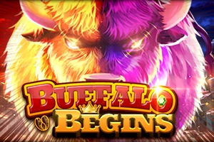 02632 buffalo begins