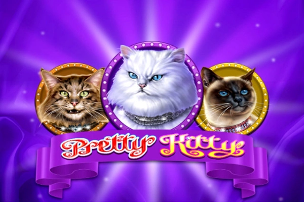 07909 pretty kitty