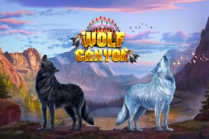 11271 wolf canyon