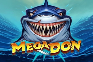 16548 mega don