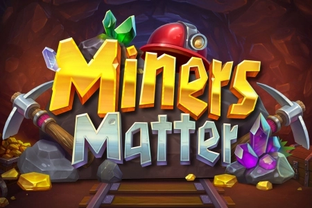 19003 miners matter