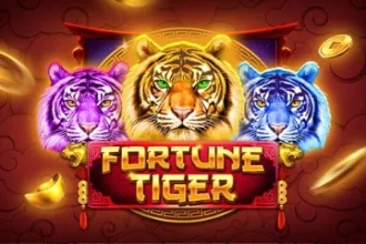 24480 fortune tiger